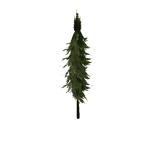 Pine (Type 2) Large 3